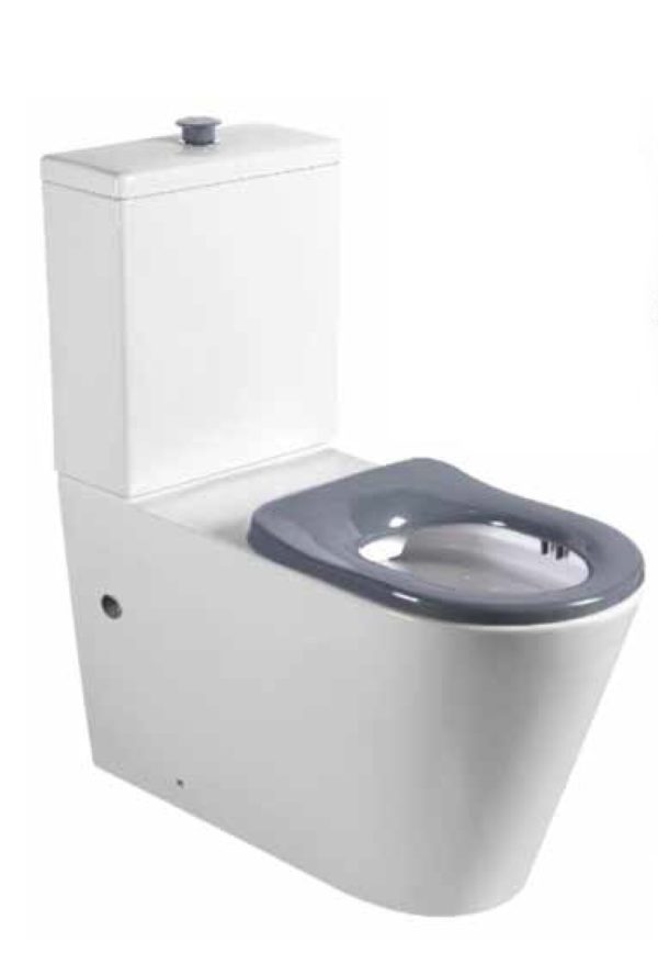 Disabled Toilet Suite T109